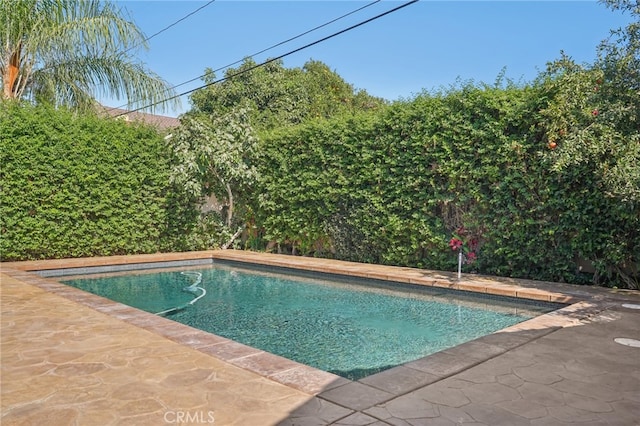 view of pool with a patio area