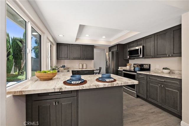 kitchen featuring a kitchen island, appliances with stainless steel finishes, light hardwood / wood-style flooring, and a raised ceiling