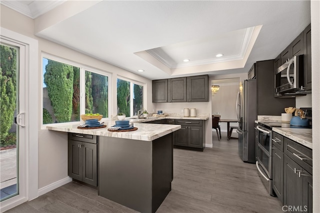 kitchen with a raised ceiling, appliances with stainless steel finishes, wood-type flooring, and kitchen peninsula