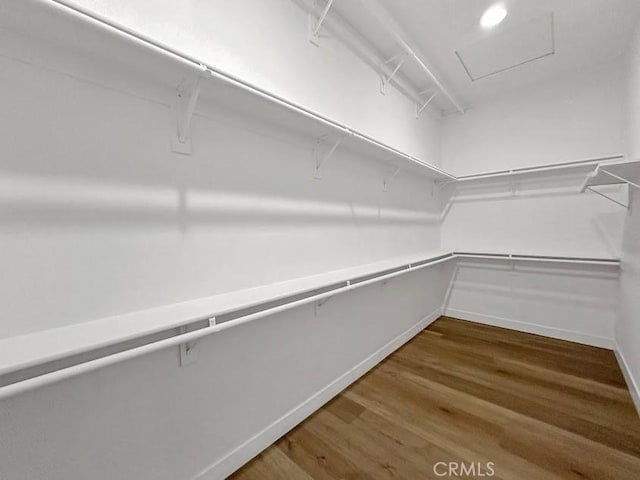 spacious closet with wood-type flooring