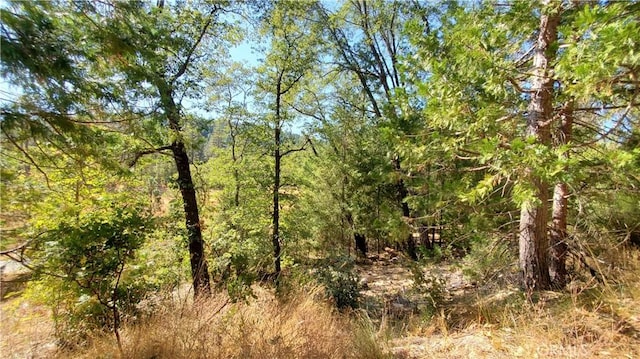 12147 Western Pine Rd, Loch Lomond, CA 95461 - photo 1