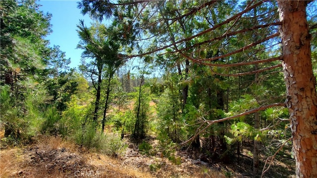 Listing photo 3 for 12147 Western Pine Rd, Loch Lomond CA 95461