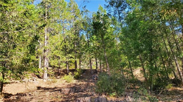 12147 Western Pine Rd, Loch Lomond, CA 95461 - photo 5