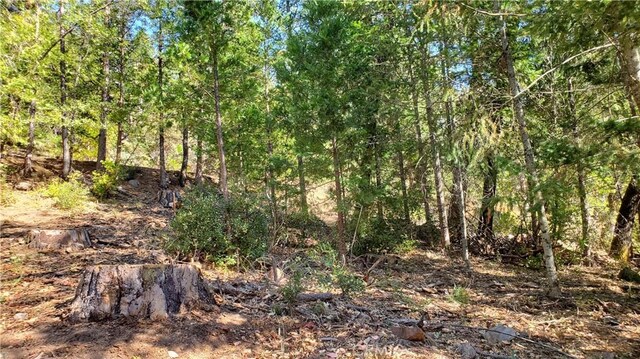 12147 Western Pine Rd, Loch Lomond, CA 95461 - photo 6