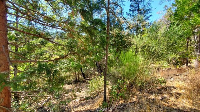 12147 Western Pine Rd, Loch Lomond, CA 95461 - photo 2