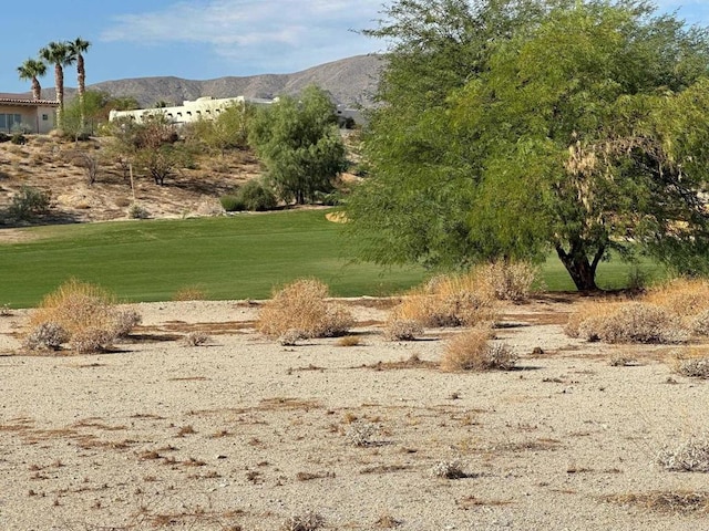 0 Roadrunner Dr, Borrego Springs, CA 92004