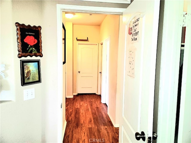 hallway featuring dark hardwood / wood-style floors