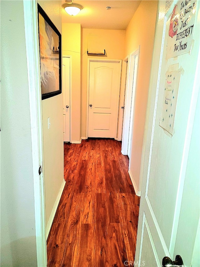 hall featuring dark wood-type flooring