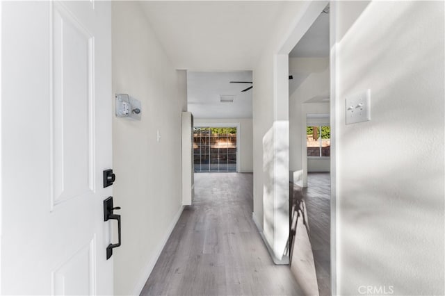 hallway with wood-type flooring and plenty of natural light