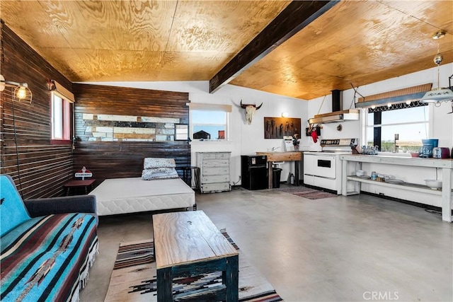 interior space with wooden ceiling and wooden walls