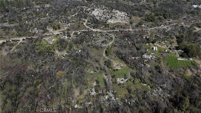 555 Craig Access Rd, Oroville, CA 95966 - photo 16