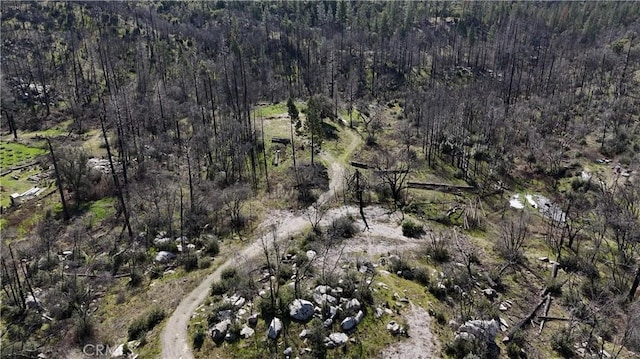 555 Craig Access Rd, Oroville, CA 95966 - photo 9