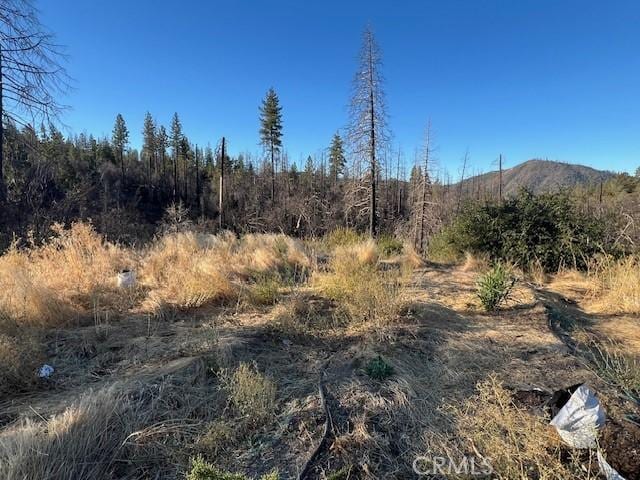 555 Craig Access Rd, Oroville, CA 95966 - photo 7
