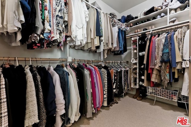 walk in closet with carpet flooring