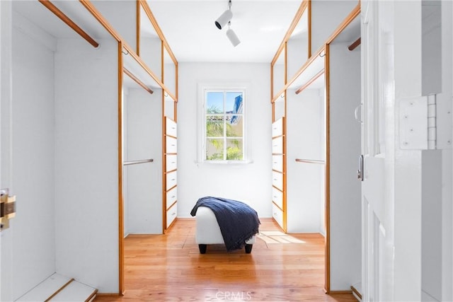 corridor with rail lighting and light wood-style floors