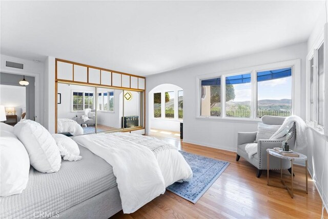 bedroom with multiple windows and light wood-type flooring