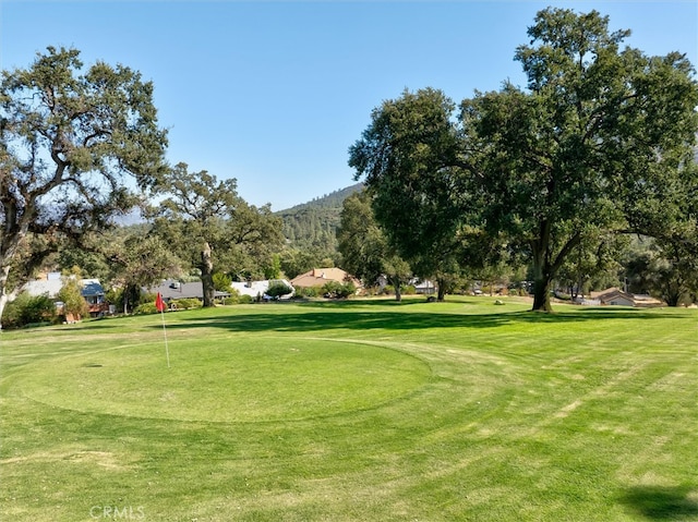 surrounding community featuring a yard