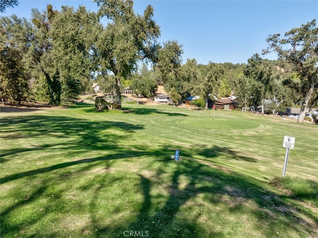 view of community with a lawn