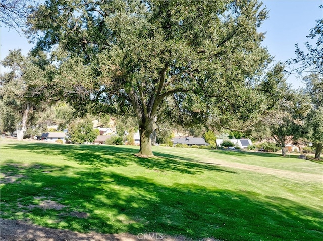 view of home's community with a lawn