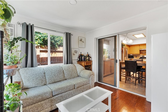 living room featuring crown molding and dark wood-type flooring