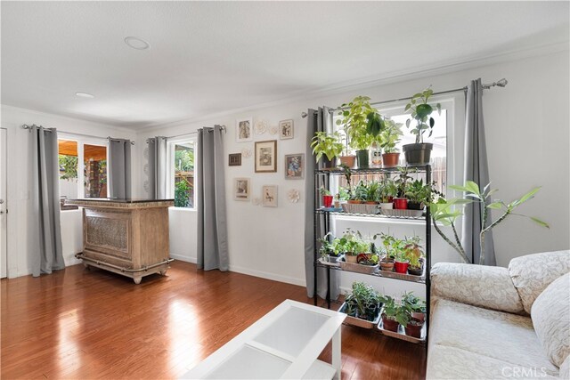 living room featuring crown molding and hardwood / wood-style floors