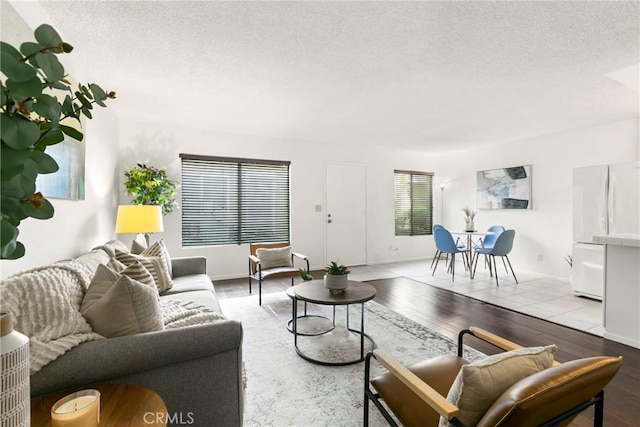 living room featuring a textured ceiling and light wood-type flooring