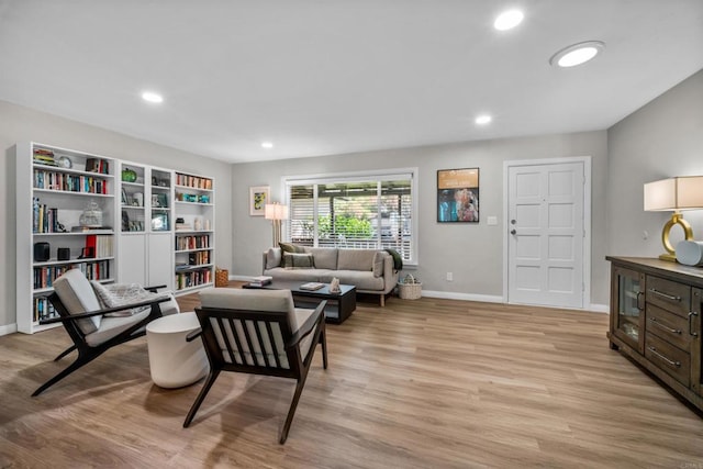 living room featuring light hardwood / wood-style flooring