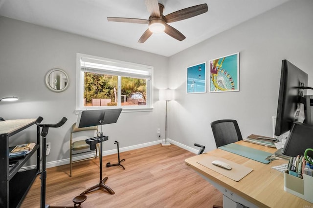 office space featuring ceiling fan and light wood-type flooring