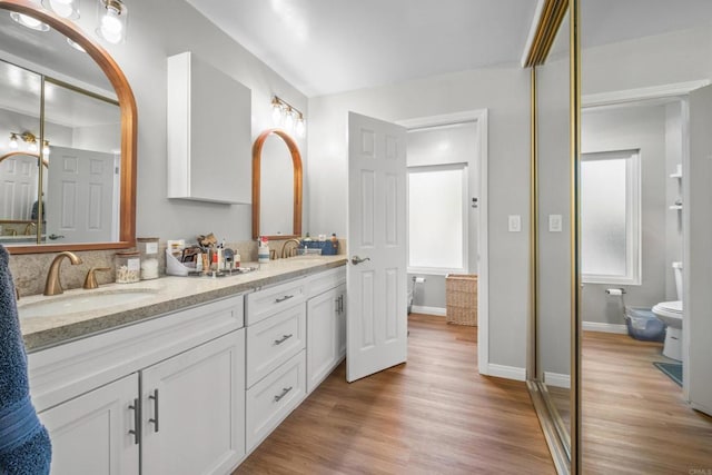 bathroom featuring hardwood / wood-style flooring, vanity, and toilet