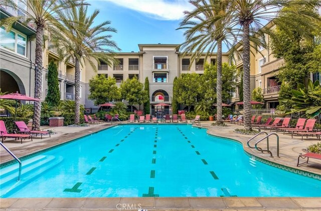 view of swimming pool with a patio