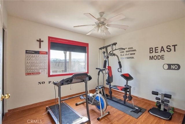 exercise room featuring ceiling fan and wood-type flooring