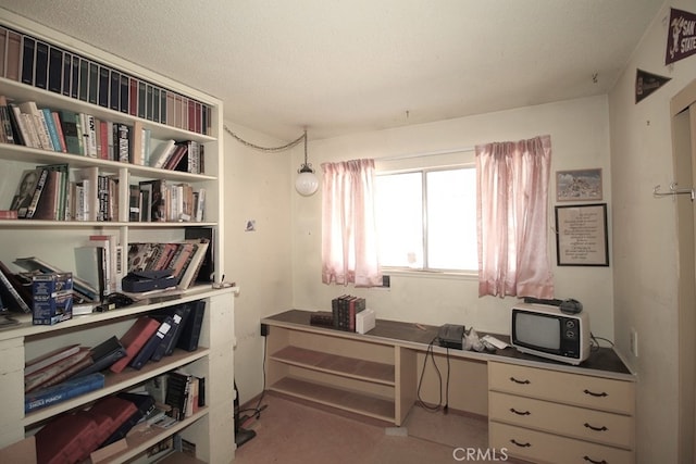 home office with a textured ceiling