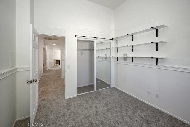 spacious closet featuring carpet floors