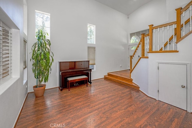 interior space featuring a high ceiling, dark hardwood / wood-style floors, and a wealth of natural light