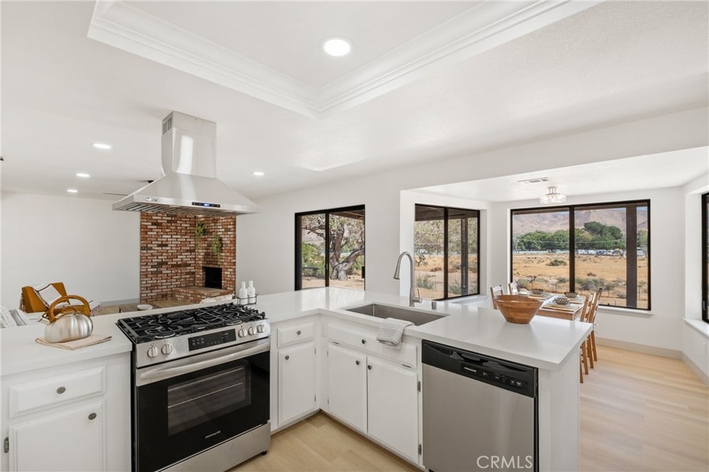 kitchen with white cabinets, kitchen peninsula, stainless steel appliances, sink, and extractor fan