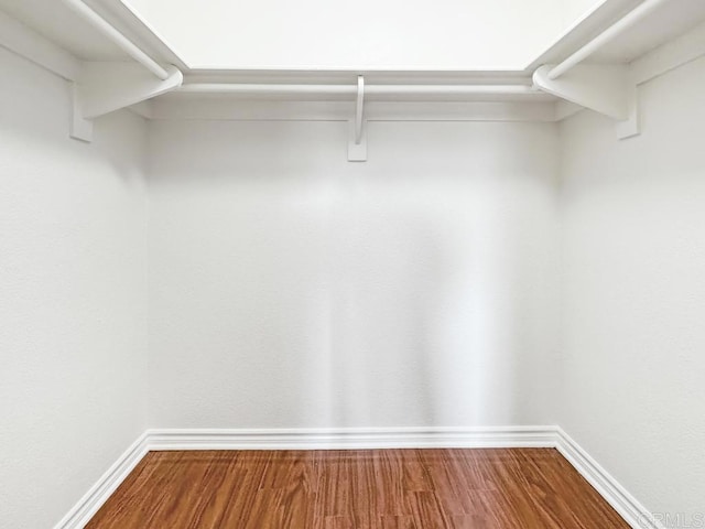 spacious closet with wood-type flooring