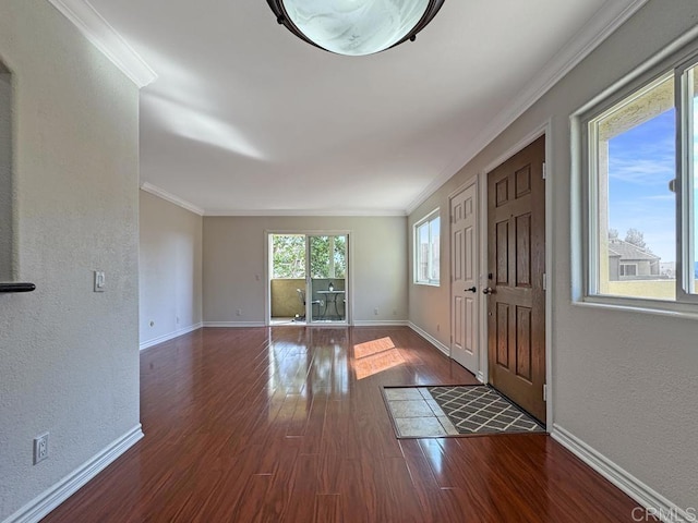 foyer entrance featuring dark wood-type flooring and ornamental molding