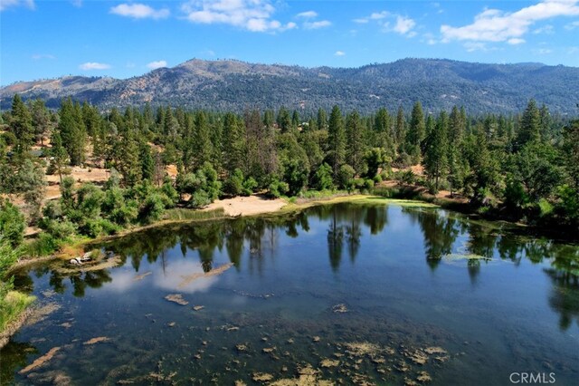 property view of water featuring a mountain view