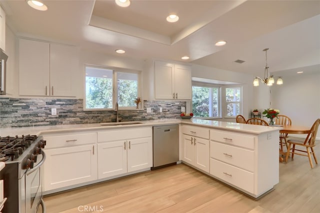 kitchen featuring a tray ceiling, appliances with stainless steel finishes, sink, and a healthy amount of sunlight