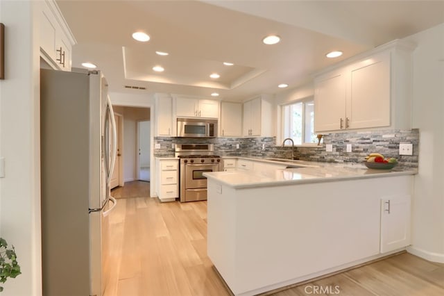 kitchen with white cabinetry, sink, a tray ceiling, and stainless steel appliances