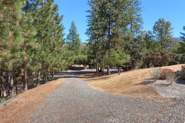 view of road