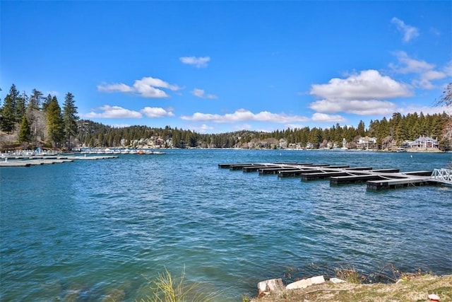 dock area featuring a water view