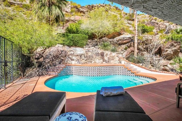 view of swimming pool featuring a patio