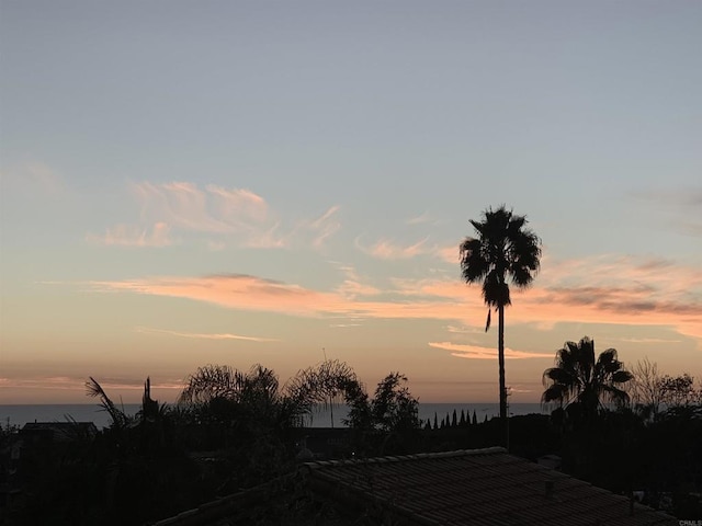 nature at dusk featuring a water view