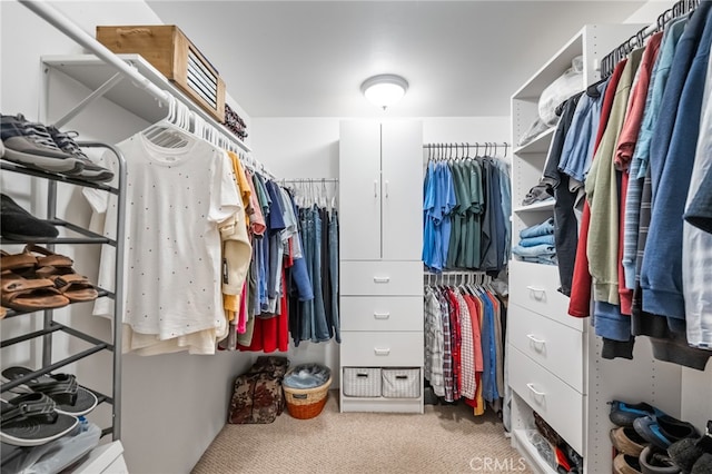 spacious closet with carpet flooring