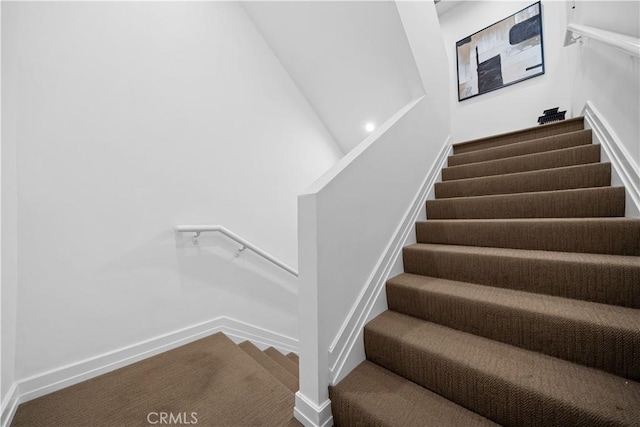 stairs featuring carpet flooring