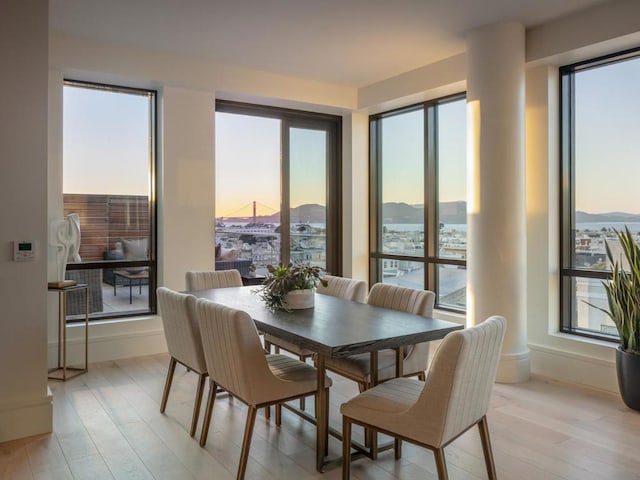 dining area with light wood-type flooring, a mountain view, and plenty of natural light