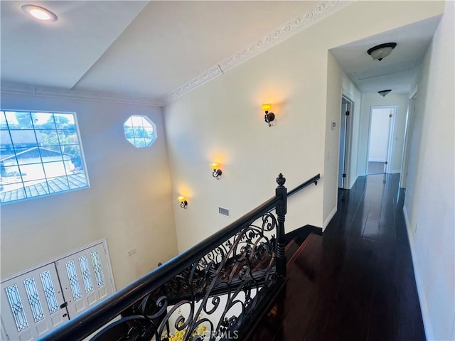 hallway with crown molding and dark wood-type flooring