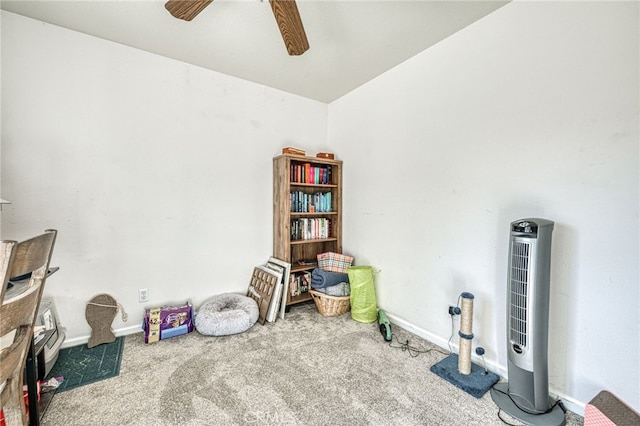 miscellaneous room with carpet and ceiling fan