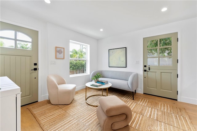 sitting room featuring light wood-type flooring and a wealth of natural light